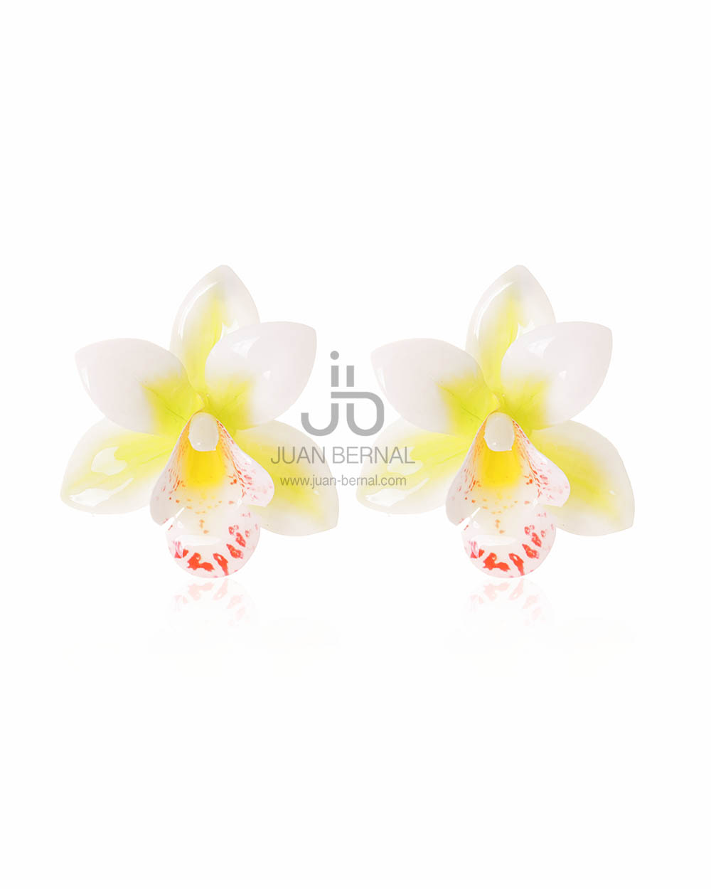 Pendientes Orquidea blanca